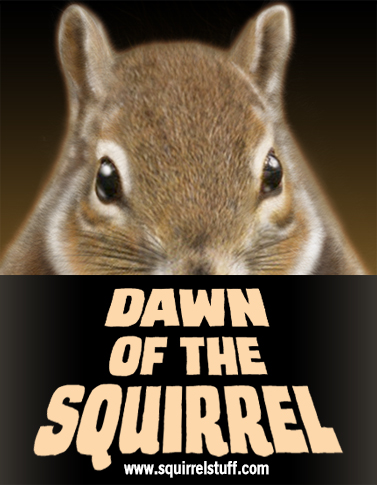 dawn of the squirrel